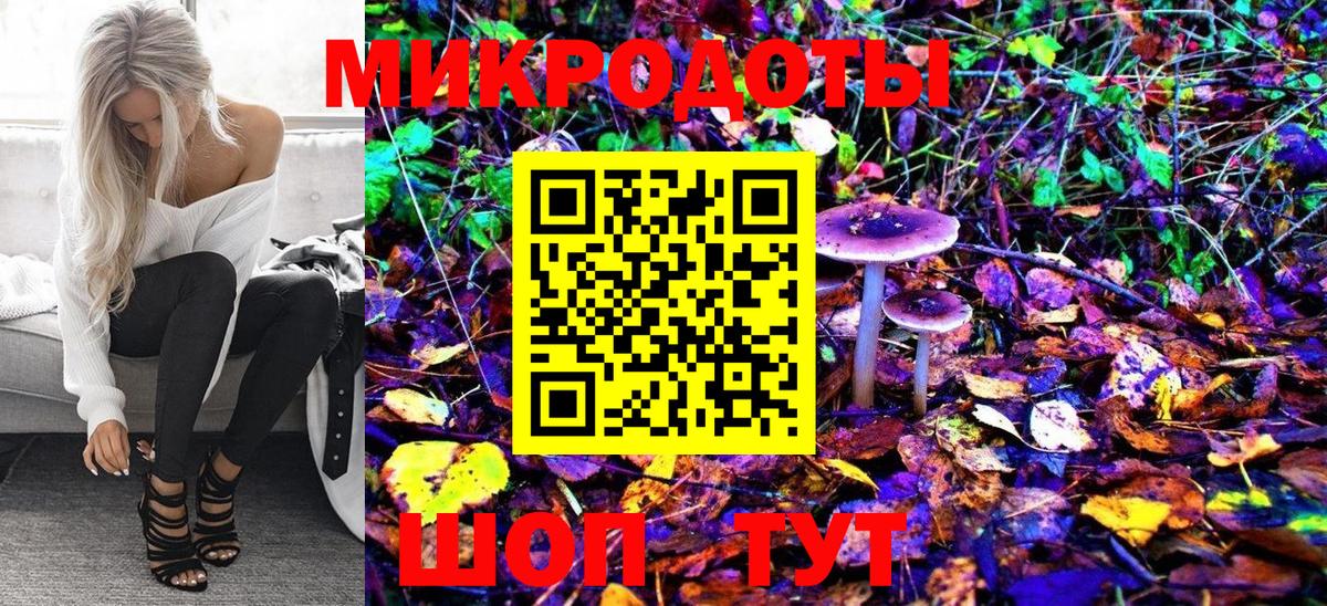 Псилоцибиновые грибы Psilocybine cubensis Лосино-Петровский